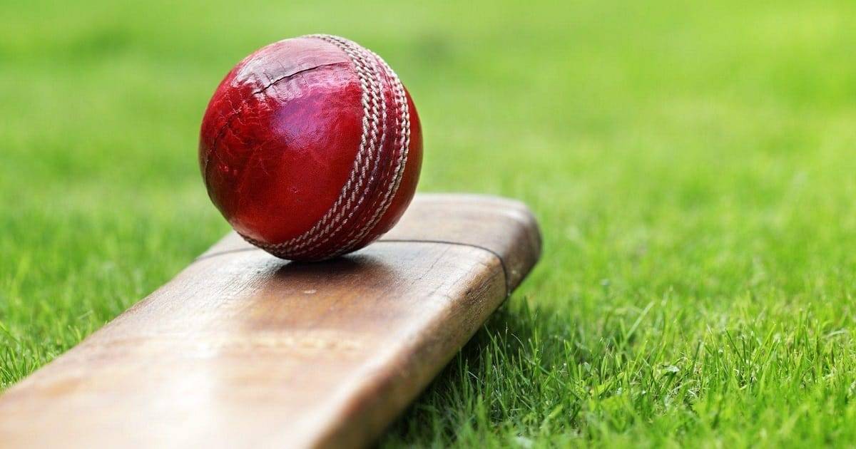 Twenty20 World Cup in 2022: The Detailed Guide