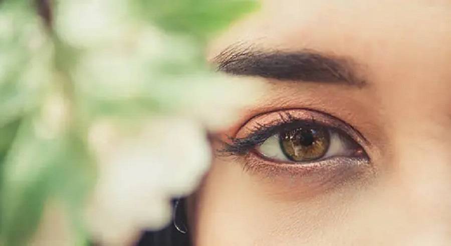 Nourishing Your Eyes for Optimal Health