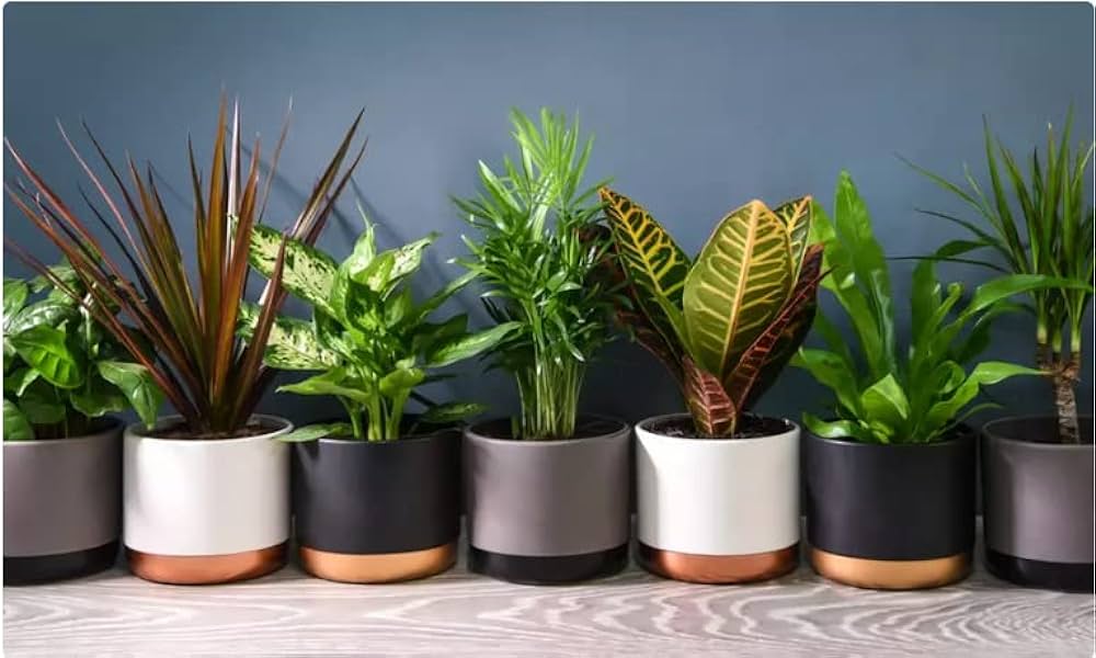 Transform Your Space with Creative Flower Pot Customization