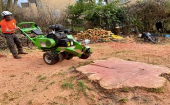 stump grinding in Gold Coast