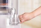 Purified Water