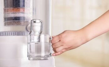 Purified Water